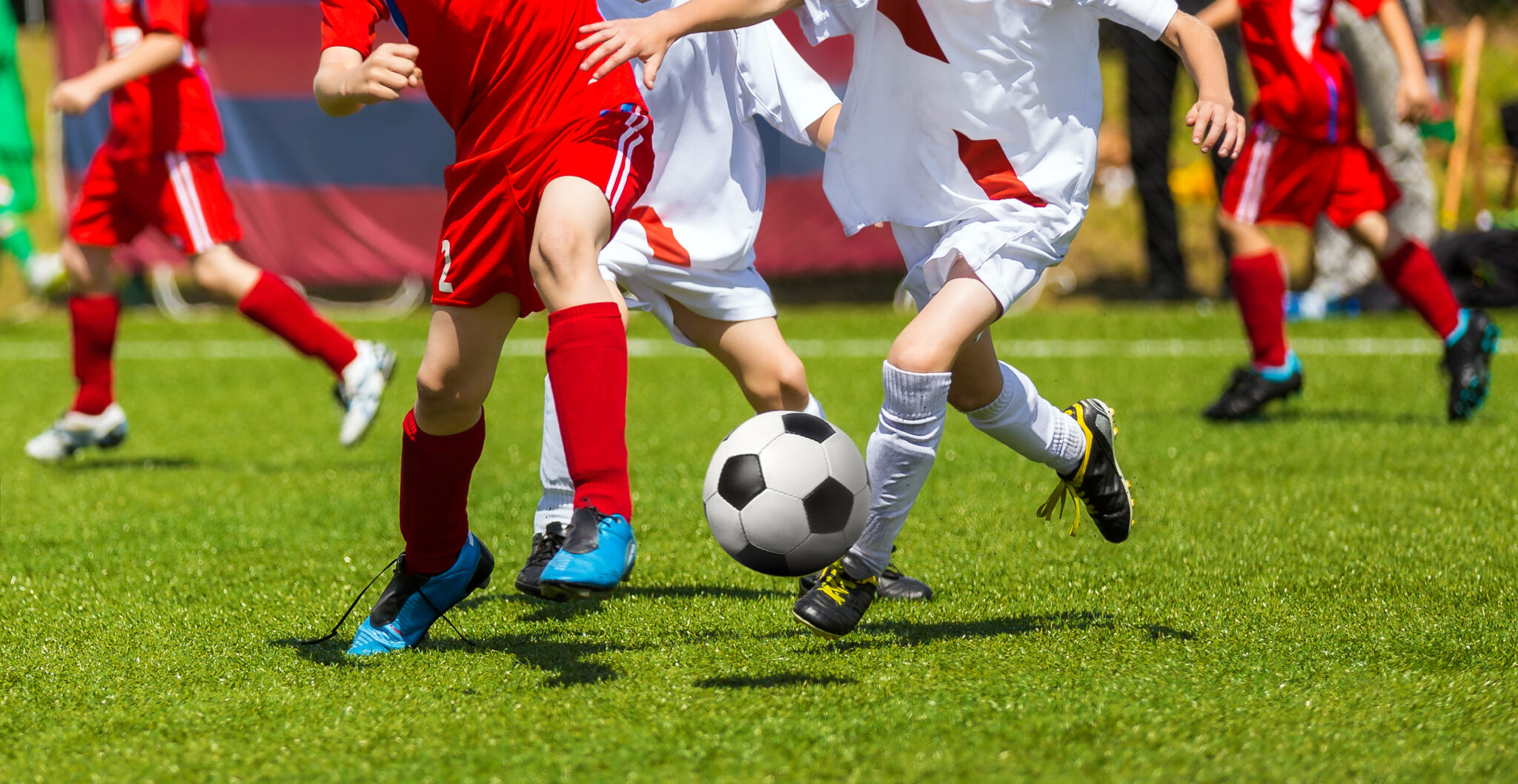 Sports Team Management Software You'll Love TeamTopia