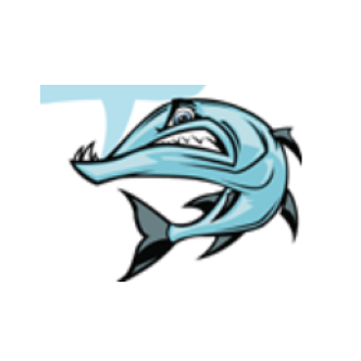 Bent Creek Swim Team Logo